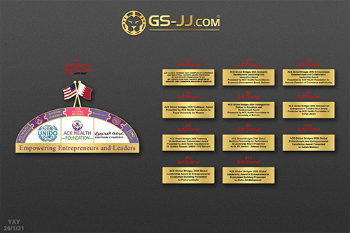 ACE Global Leaders of Excellence Network